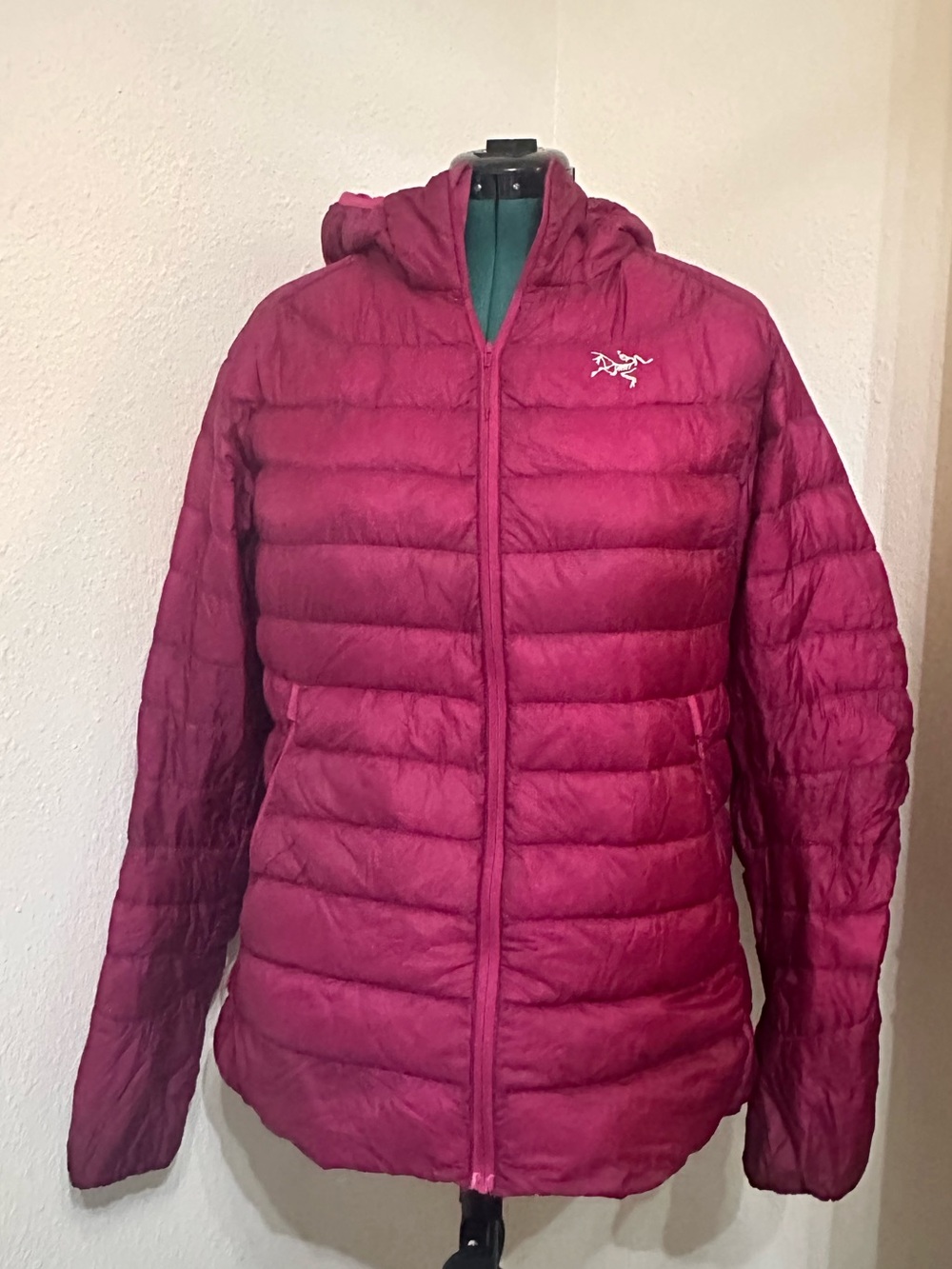 Arc'teryx Women's Hooded Down Puffer Jacket - Raspberry